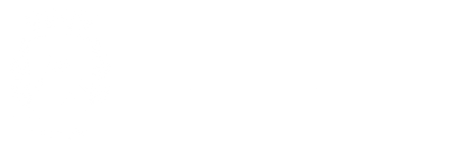 Visitas Monitoradas